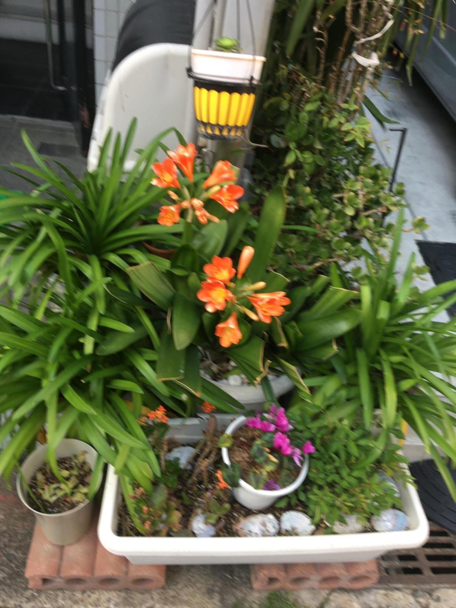 Hanmadang Osaka Esterno foto